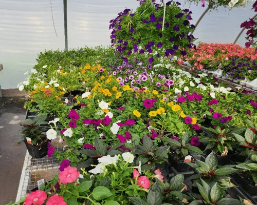 Holbrook Snow Plowing & Salting