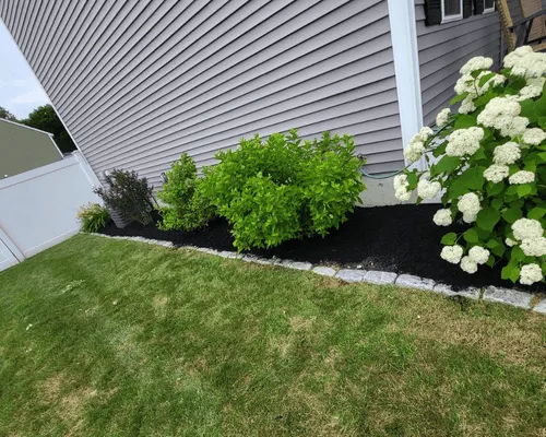  Lawn Care & Maintenance