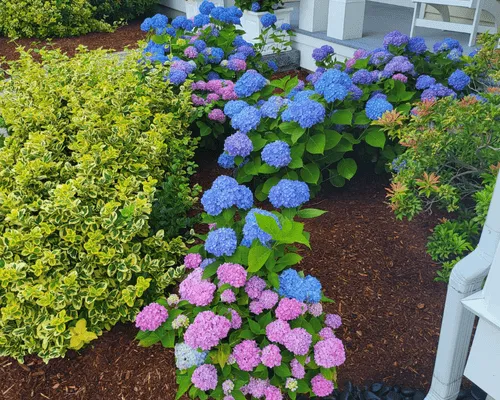 Lawn Care & Maintenance in Brockton