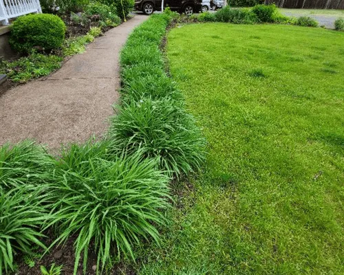 Landscaping Brockton