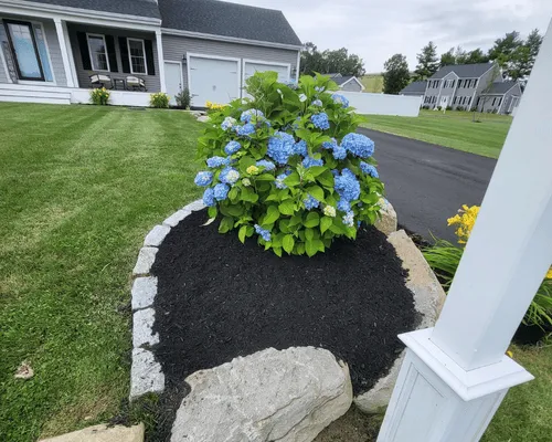 {{ custom_values.service_1 }} in {{custom_values.biz_area_1})