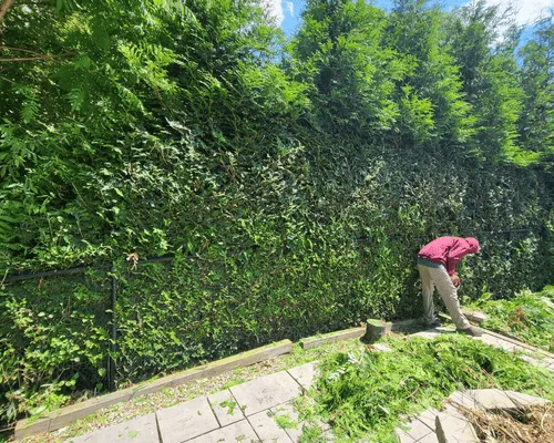  Irrigation System Installation & Repair