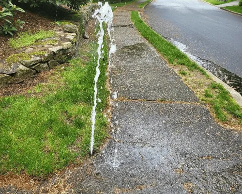 Bridgewater Lawn Care & Maintenance