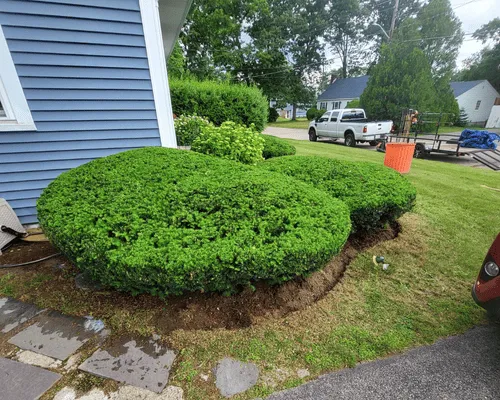 Lawn Care & Maintenance Brockton