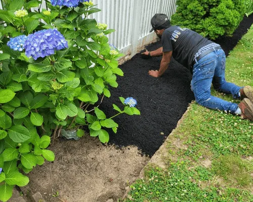  Irrigation System Installation & Repair