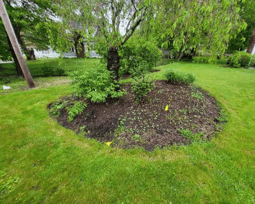 Mansfield Lawn Care & Maintenance