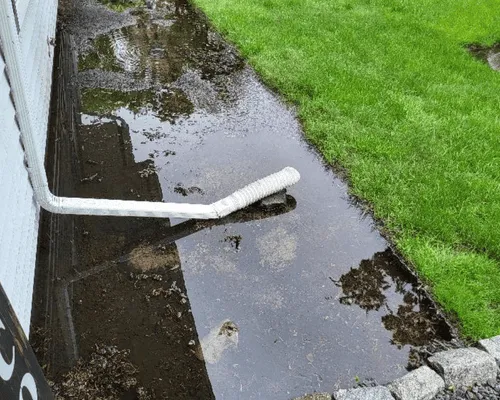 Lawn Care & Maintenance 