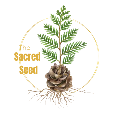 Be Rooted in Somatic regulation practices for birth workers