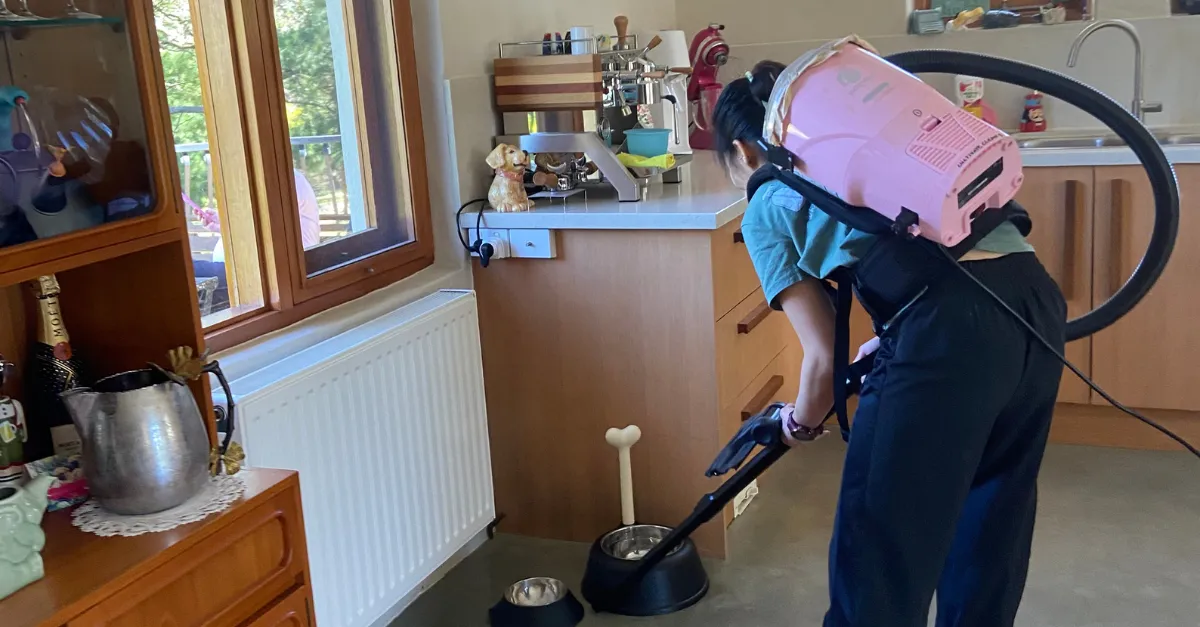 DIY Cleaning vs Professional Cleaning: What’s the Difference? 