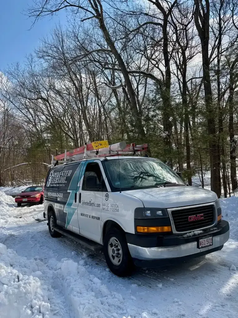 Sylvester electric van Pelham