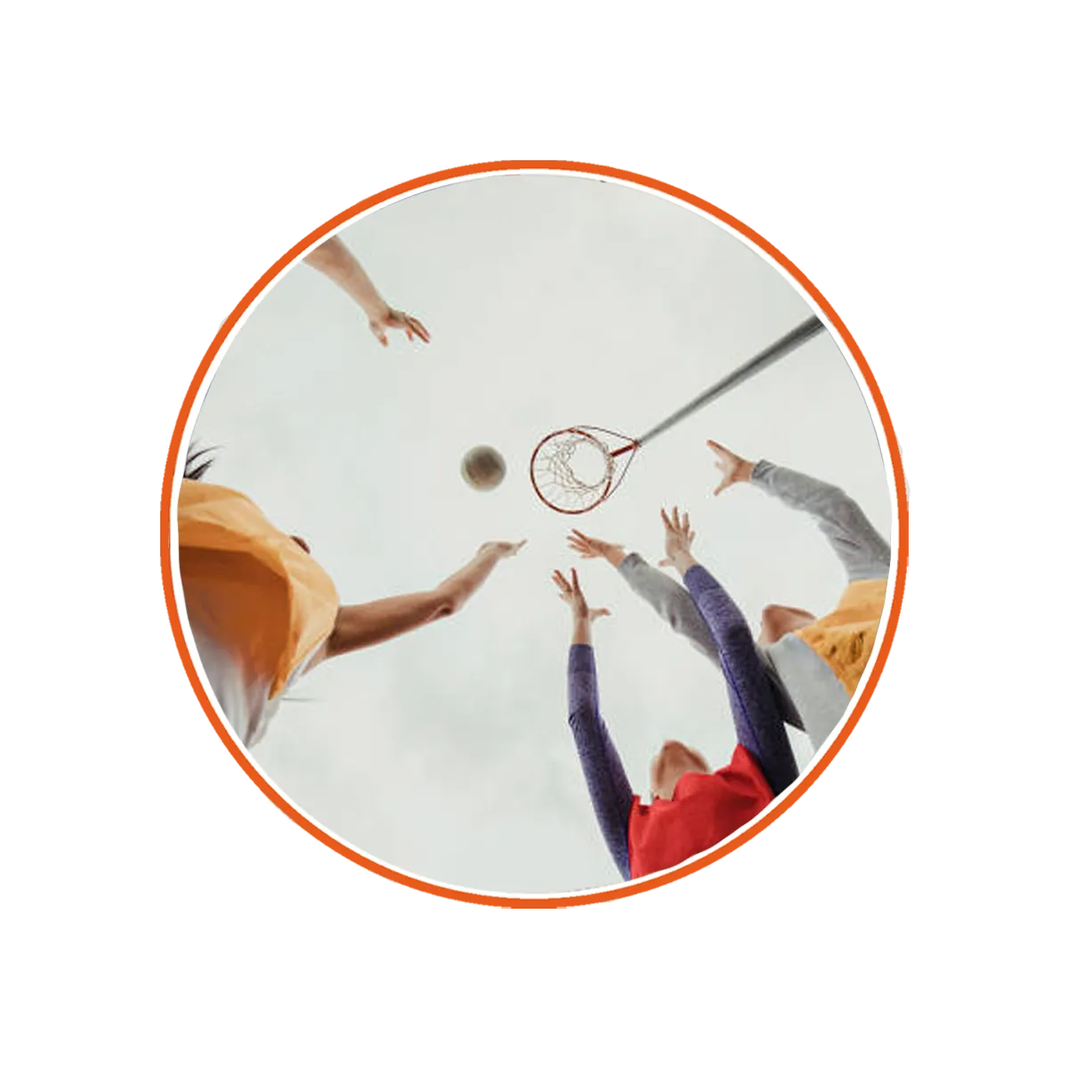 Multi Sport Fencing