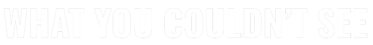 WHAT YOU COULDN'T SEE