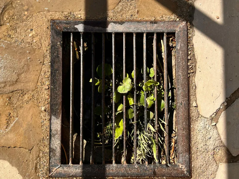 Blocked outdoor drain with visible debris and buildup