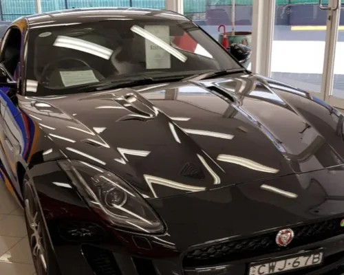 Wrap and PPF Removal 