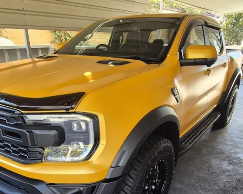 Wrap and PPF Removal 