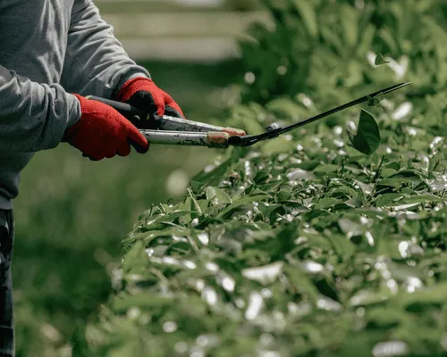 Airbnb / Short-Term Rental Cleaning St. Louis, MO