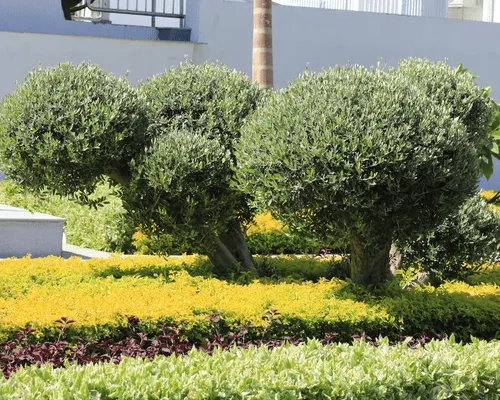 Apartment Turnovers St. Louis, MO