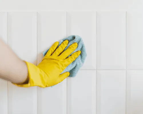 Interior Deep Cleaning in St. Louis, MO