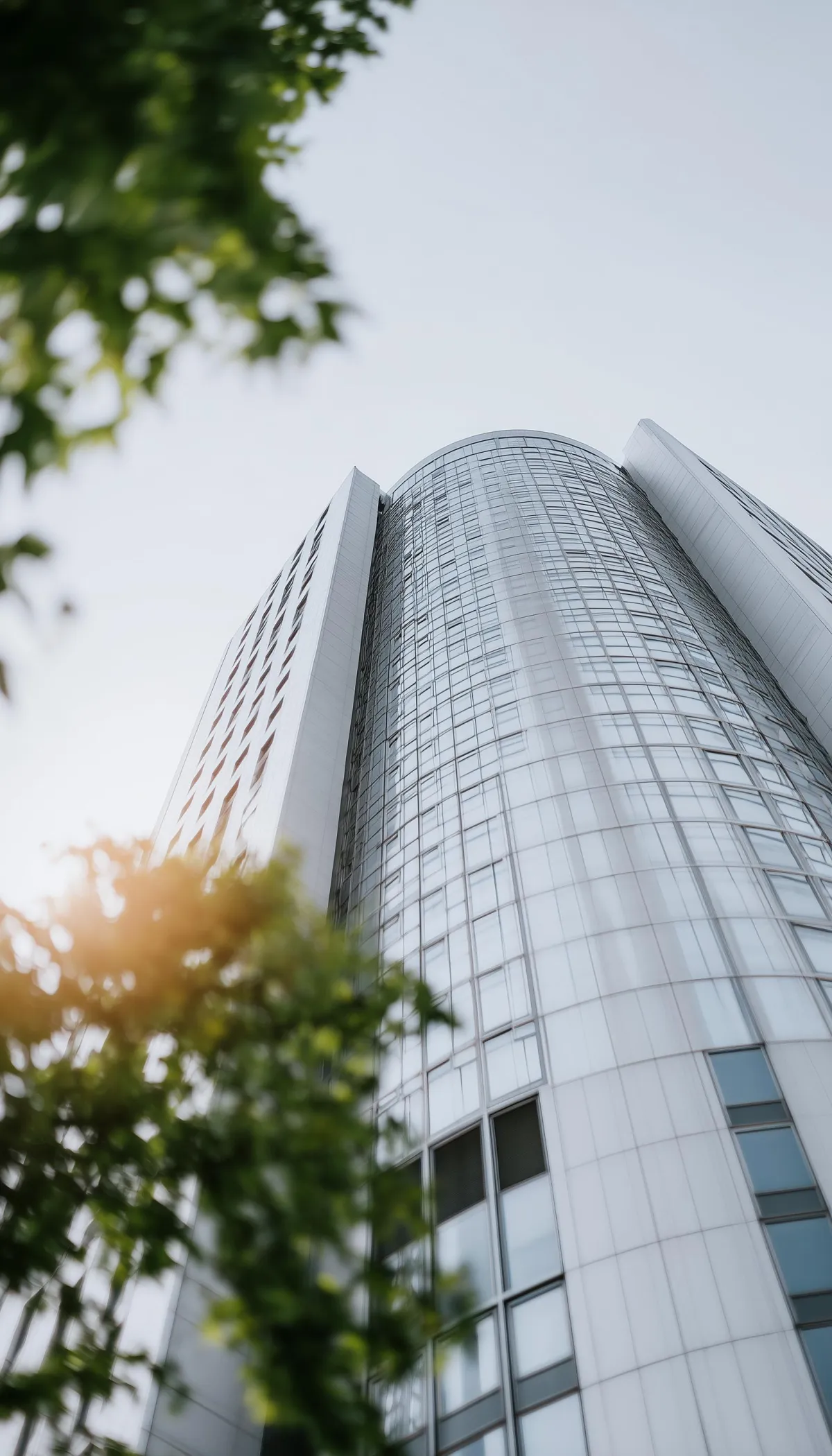 Tall modern skyscraper with a curved glass façade, sleek metal panels, and vertical window lines, viewed from below with soft sunlight shining through green tree branches in the foreground against a clear sky.