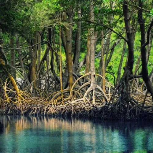 Los Haitises Parque Nacional