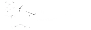 VisionForge Advisor's Logo