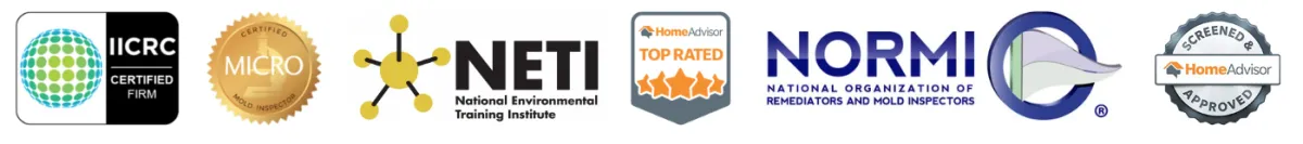 Certified Mold Remediator 