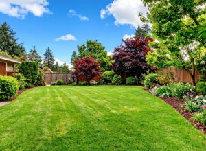 Green front lawn in North Andover maintained by LN Landscaping & Irrigation