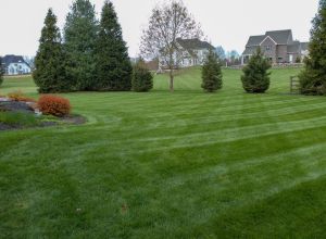 Green front lawn in Wilmington, MA maintained by LN Landscaping & Irrigation