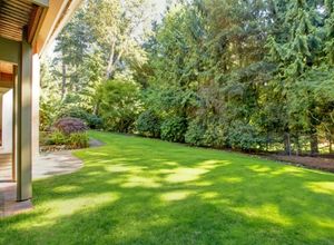 Green front lawn in Topsfield maintained by LN Landscaping & Irrigation