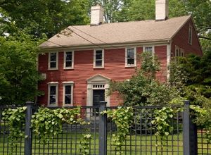 Green front lawn in Georgetown maintained by LN Landscaping & Irrigation