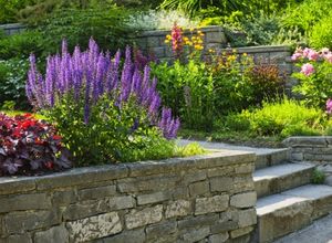 Green front lawn in Swampscott, MA maintained by LN Landscaping & Irrigation