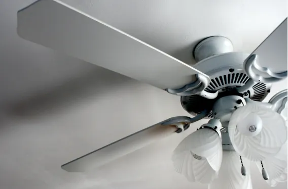 Ceiling Fan in San Joaquin Valley