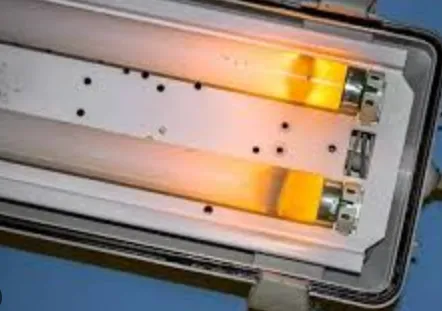 Ballast and Bulb in San Joaquin Valley