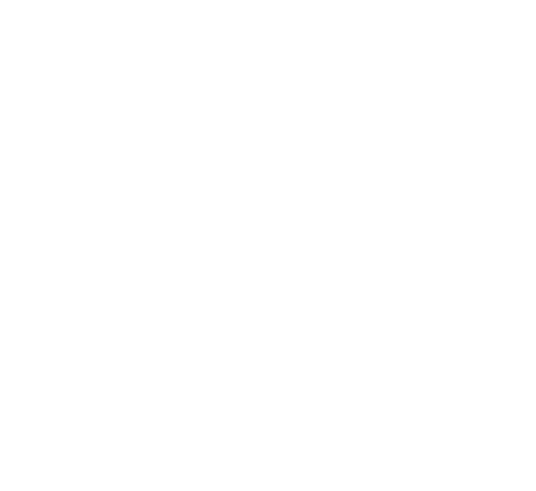 installateur viking logo