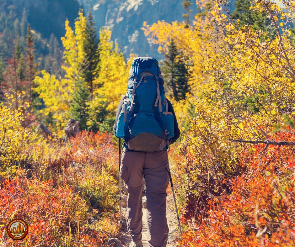 topless man in blue and white shorts lying on brown rock