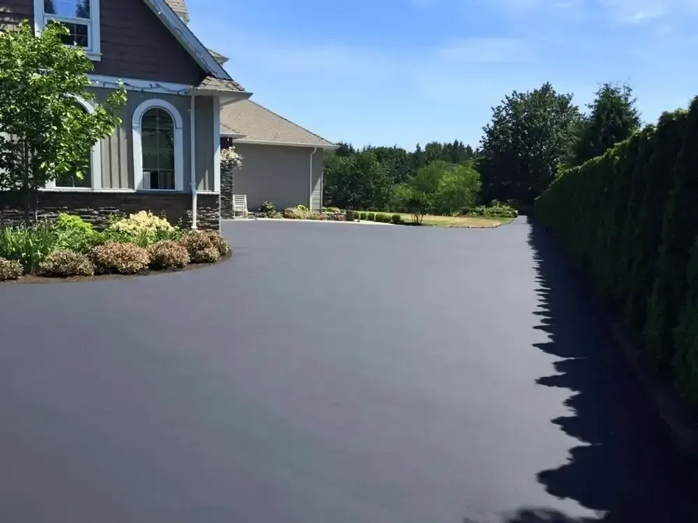 Freshly sealed asphalt driveway in Barrie by Turtle Painting