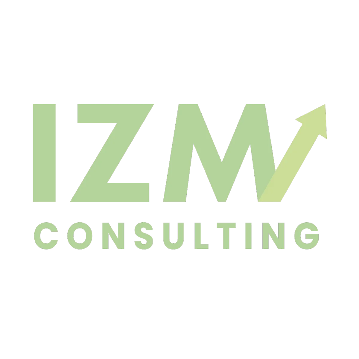 IZM Consulting
