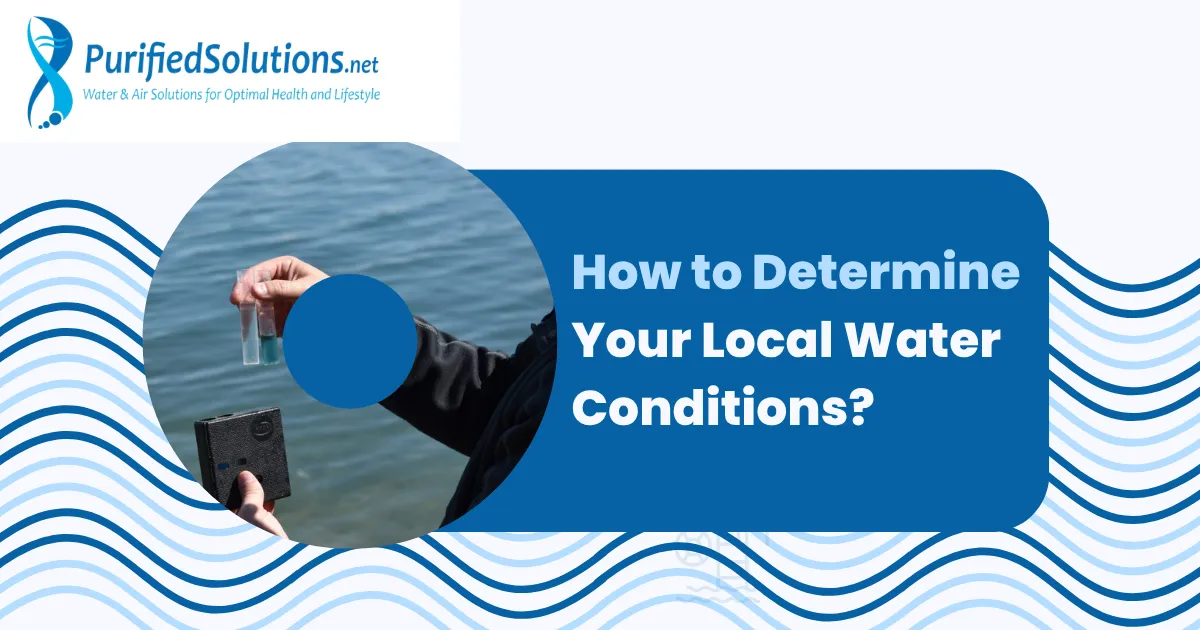 Determining Your Local Water Conditions: A Guide 