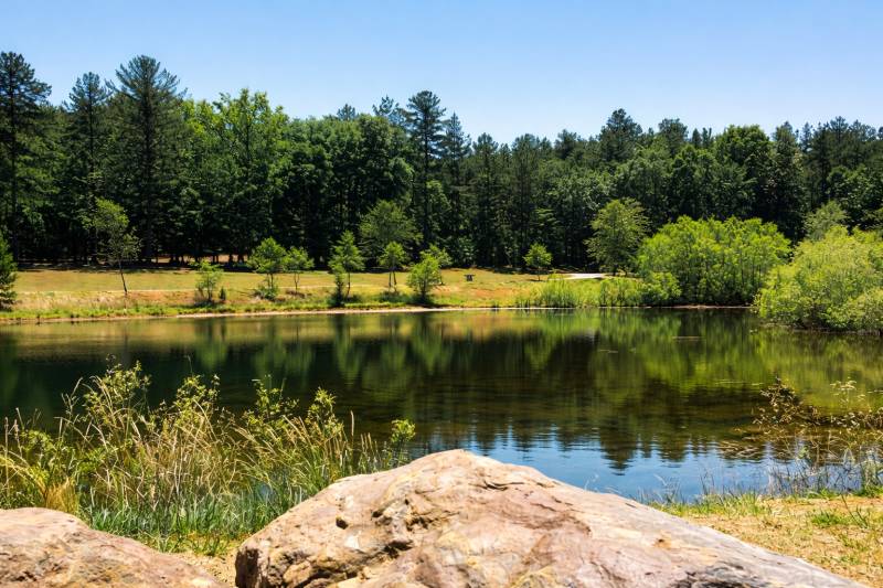 Hidden Gems Near Lawrenceville You Can Explore by Rental Car — Platinum Motors, Lawrenceville, Georgia