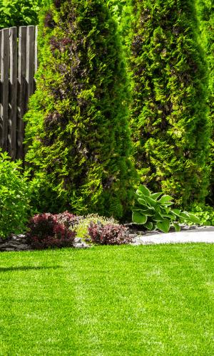 Large Item Removal Dearborn Heights