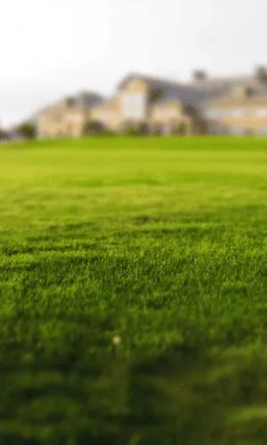 Landscaping Dearborn Heights