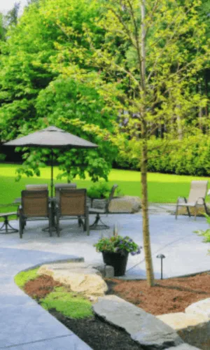 Yard Cleanup Dearborn Heights