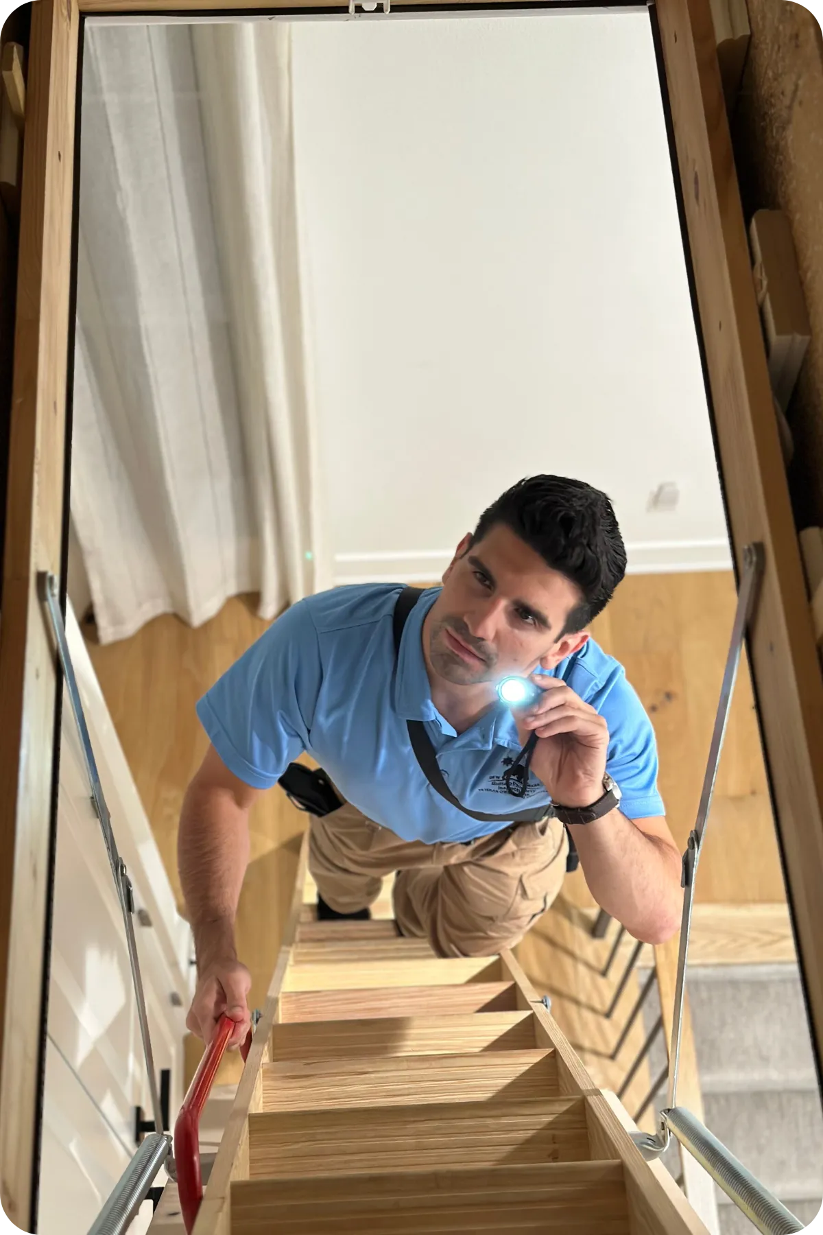 Termite Inspection in Plano, TX