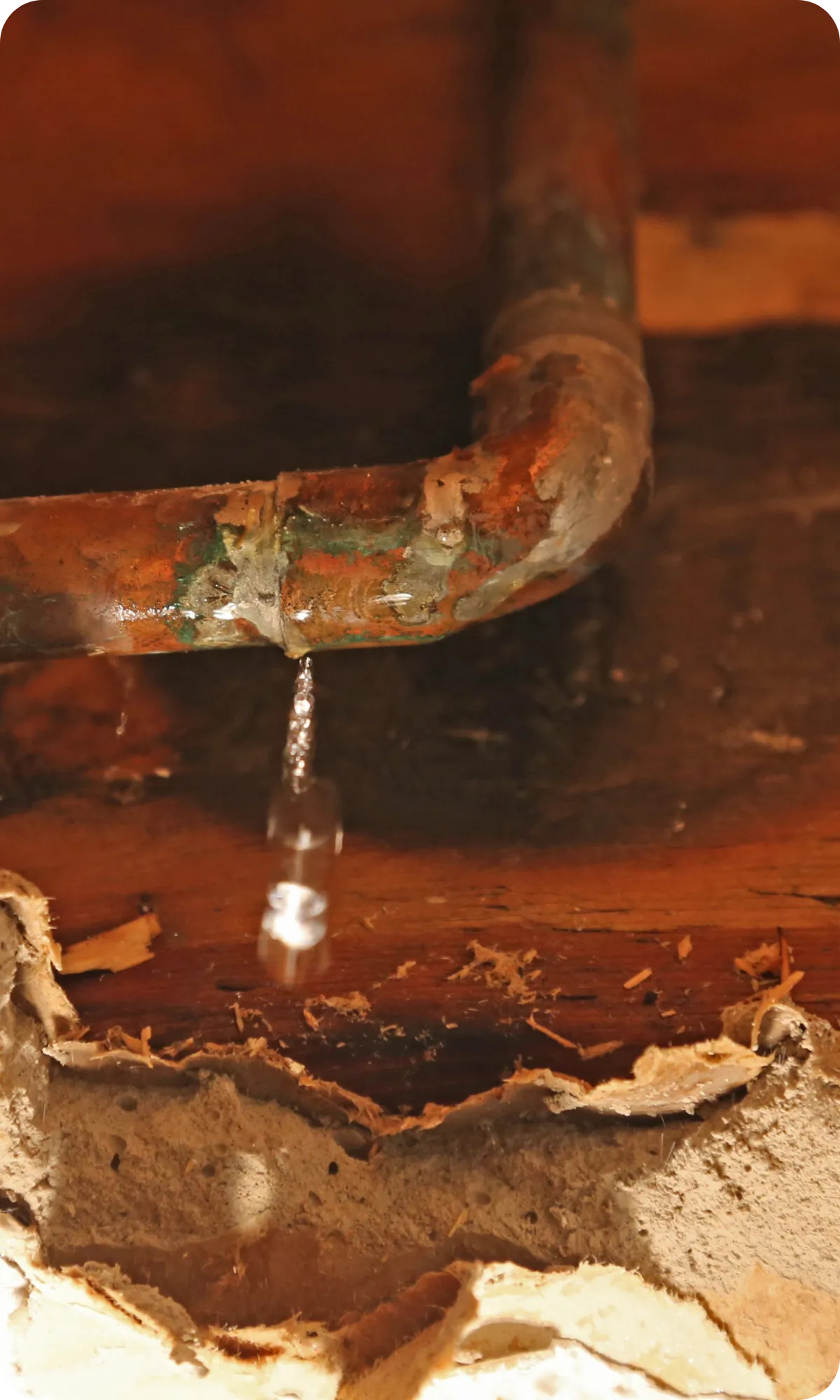 Why Sprinkler System Inspections Matter?