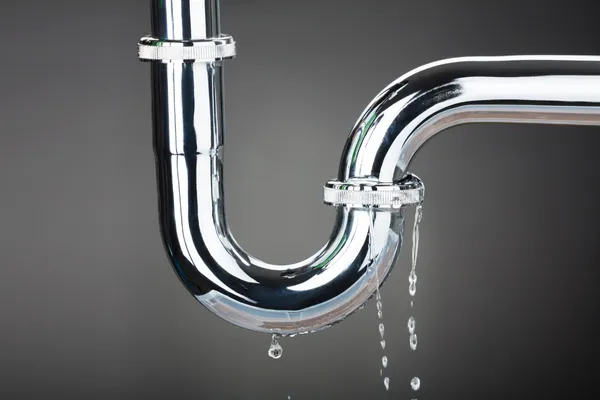 Thermal Imaging Home Inspection, Buffalo Property Inspections