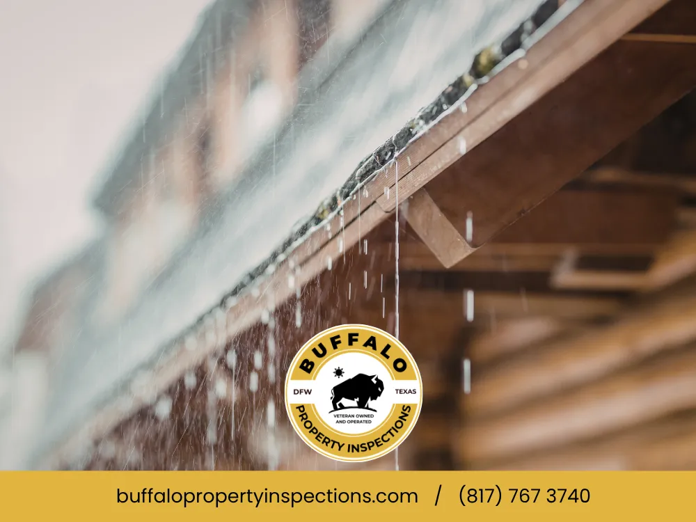 Spring Pest And Moisture Protection In Dallas, TX