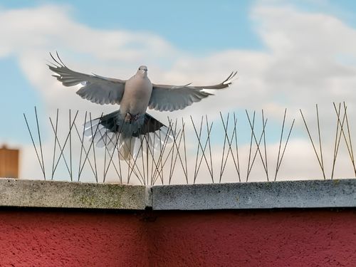 Chimney Sweeping