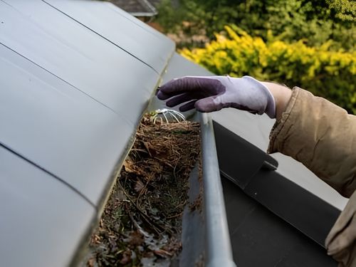 Portishead Gutter Cleaning