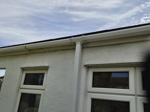 Portishead Bird Removal