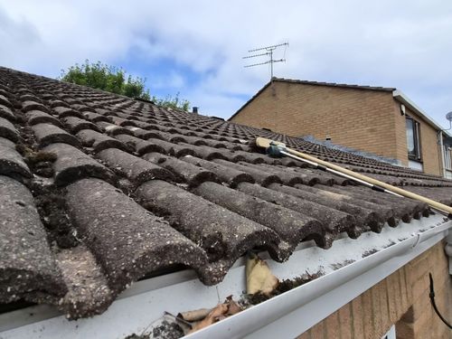 Frampton Cotterell Bird Removal